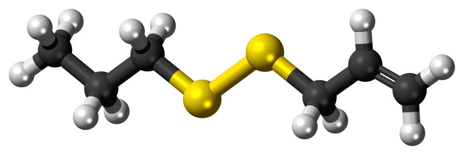 allyl propyl disulfide molecule model on white background