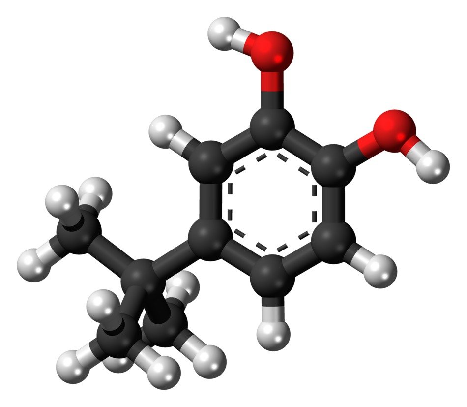t-butylcatechol molecule in chemistry