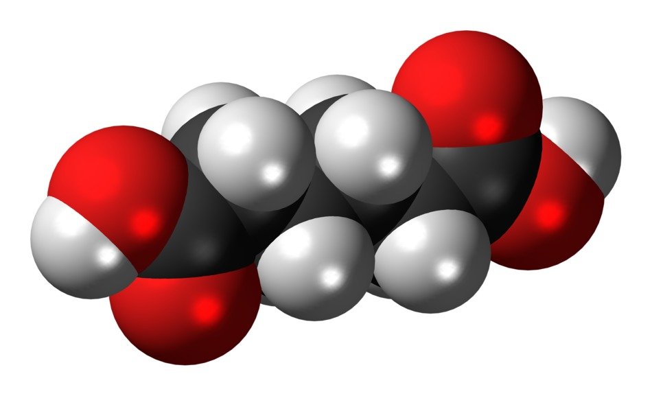 adipicaside as a model of a molecule