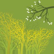 Abstract Tree N30