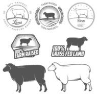 Set of premium lamb labels badges and design elements
