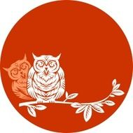 two owls on a branch