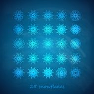 vector set of 25 graceful snowflakes on the blue backgrond