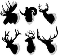 Mounted Animals