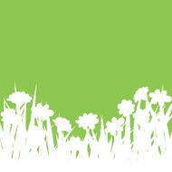 Spring Grass N4