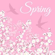 blooming tree and birds N7