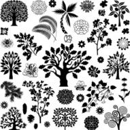 Trees and plants N7