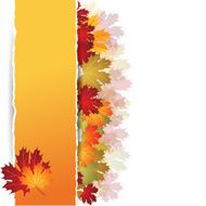 EPS10 Autumn maple leaves background Vector illustration N2
