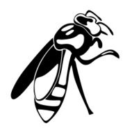 silhouette of the bee - vector