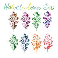 Multicolored set of oak leaves painted in watercolor