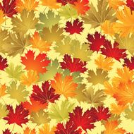 EPS10 Autumn leaves seamless background Vector illustration