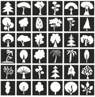 trees N52