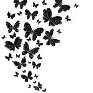 Flowing curving design of flying butterflies