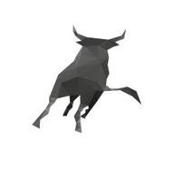 Bull isolated on a white backgrounds N2