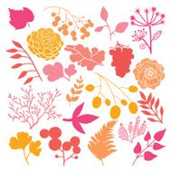 Autumn Floral Design Elements Collection