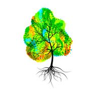 colorful tree N3