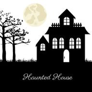Haunted House N20