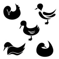 the set of duck