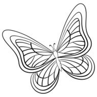 Butterfly contours