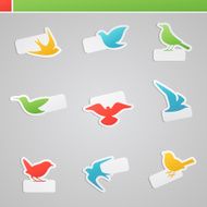 Set of multicolored birds with tags