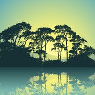 Trees silhouette N7