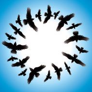 Design with birds