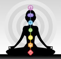 The seven Muladhara Svadisthana Manipura Anahata Visuddha Anja Sahasrara Chakras