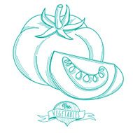 Outline hand drawn sketch of tomato (flat style thin line) N2