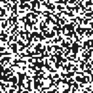 Black And White Noise N2