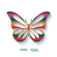 Butterfly Logo vector design template