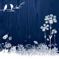 Night in the forest