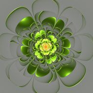 Beautiful green flower on gray background Computer generated