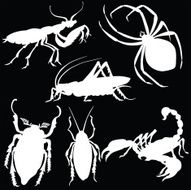 Vector silhouette of various insects N3