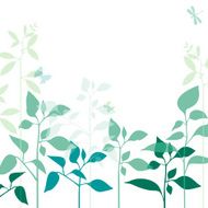Meadow plants N4