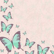 Colorful butterfly vector background