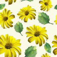 yellow patterns N2