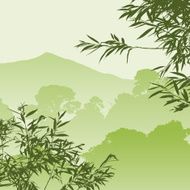 forest landscape N10