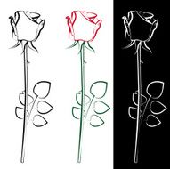 Roses N86