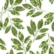 Seamless pattern with laurel Hand-drawn floral background