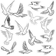 Doves N8