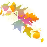 autumn leaves N87