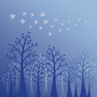 Birds in the forest N2