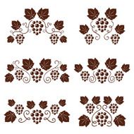 Grape vines ornates set Vector illustration