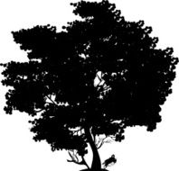 Black Tree N8
