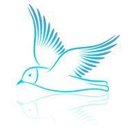 Seagull Vector illustration
