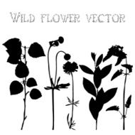 Set silhouettes of wild flowers vector N10