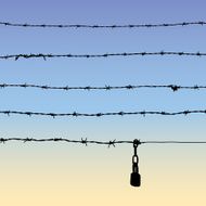 Barbed wire and padlock