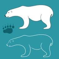 White bear N2