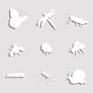 Paper Insects Set N2