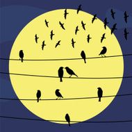 Birds on the wire2